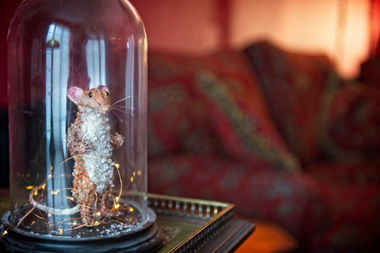 The Old Vicarage Hotel & Restaurant Bridgwater Kültér fotó A mouse in a bell jar